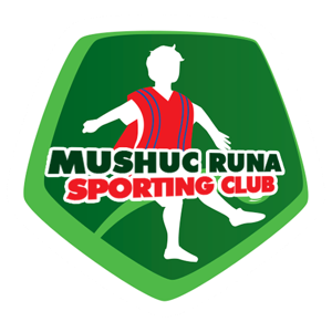 维诺廷托FC